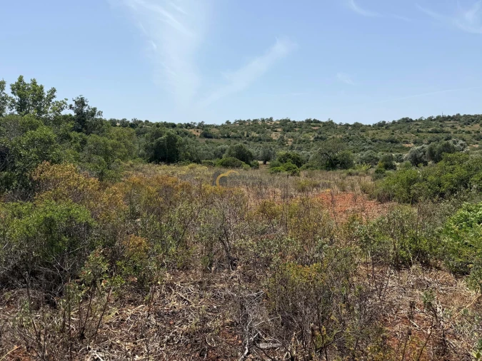 Terreno Agricola ou Rústico para Venda em Paderne Foto 5