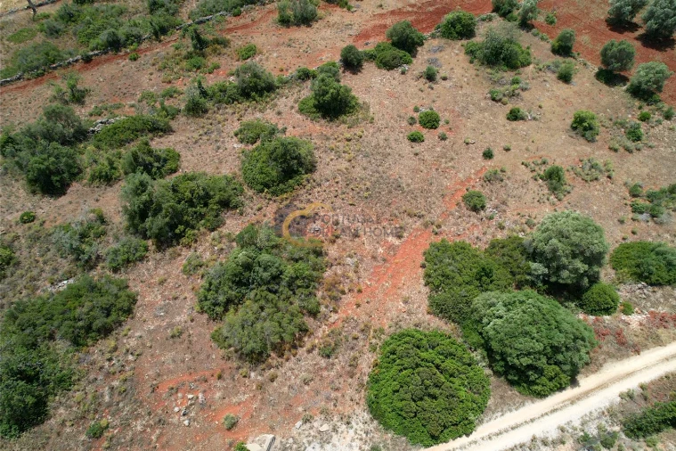 Terreno Agricola ou Rústico para Venda em Paderne Foto 7