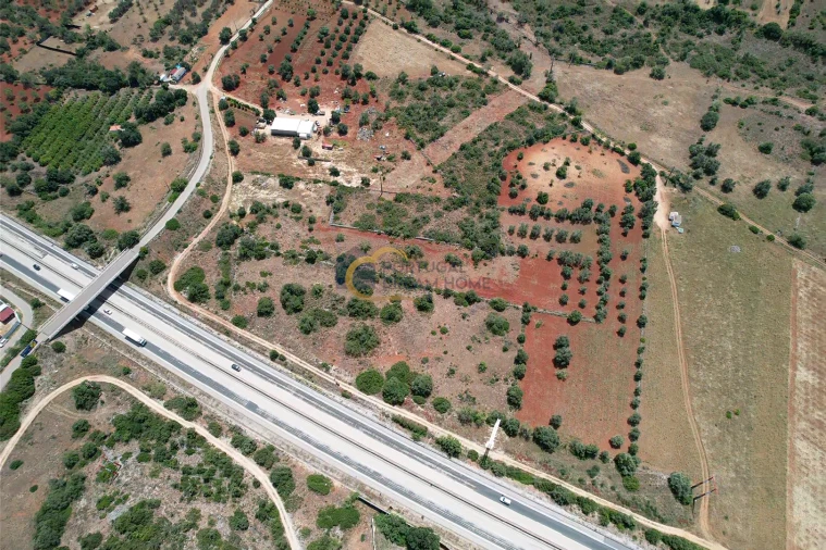 Terreno Agricola ou Rústico para Venda em Paderne Foto 11