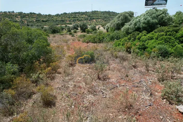 Terreno Agricola ou Rústico para Venda em Paderne Foto 10