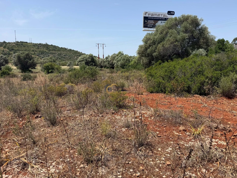 Terreno Agricola ou Rústico para Venda em Paderne Foto 14