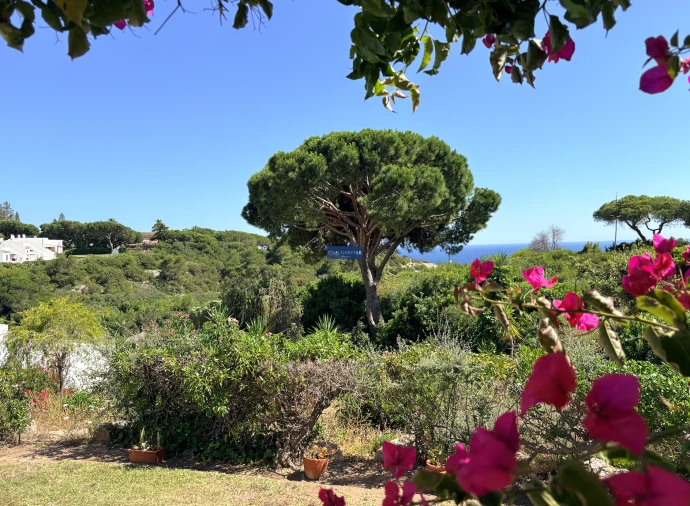 Apartamento T3 para Venda em Lagoa e Carvoeiro Foto 13