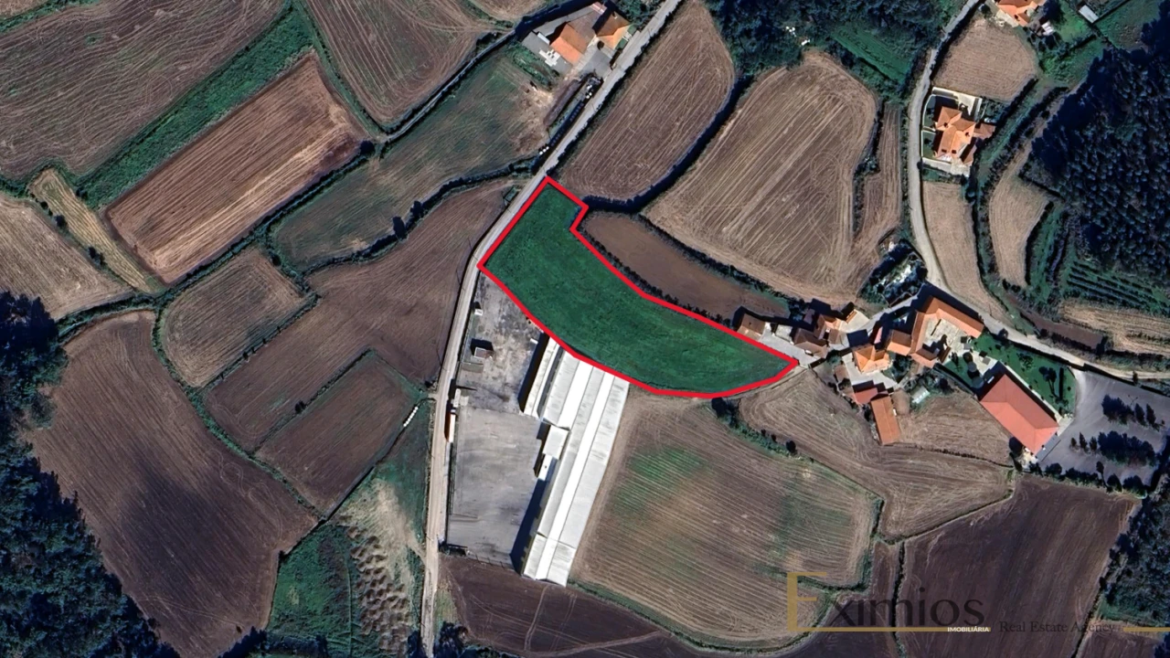 Terreno para Venda em Chorente, Góios, Courel, Pedra Furada e Gueral Foto 4