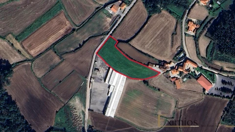 Terreno para Venda em Chorente, Góios, Courel, Pedra Furada e Gueral