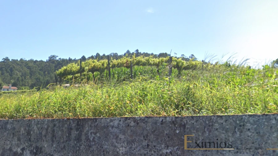 Terreno para Venda em Chorente, Góios, Courel, Pedra Furada e Gueral Foto 3