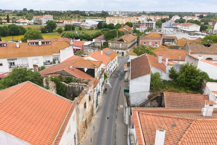 Armazém para Venda em Cartaxo e Vale da Pinta Foto 4