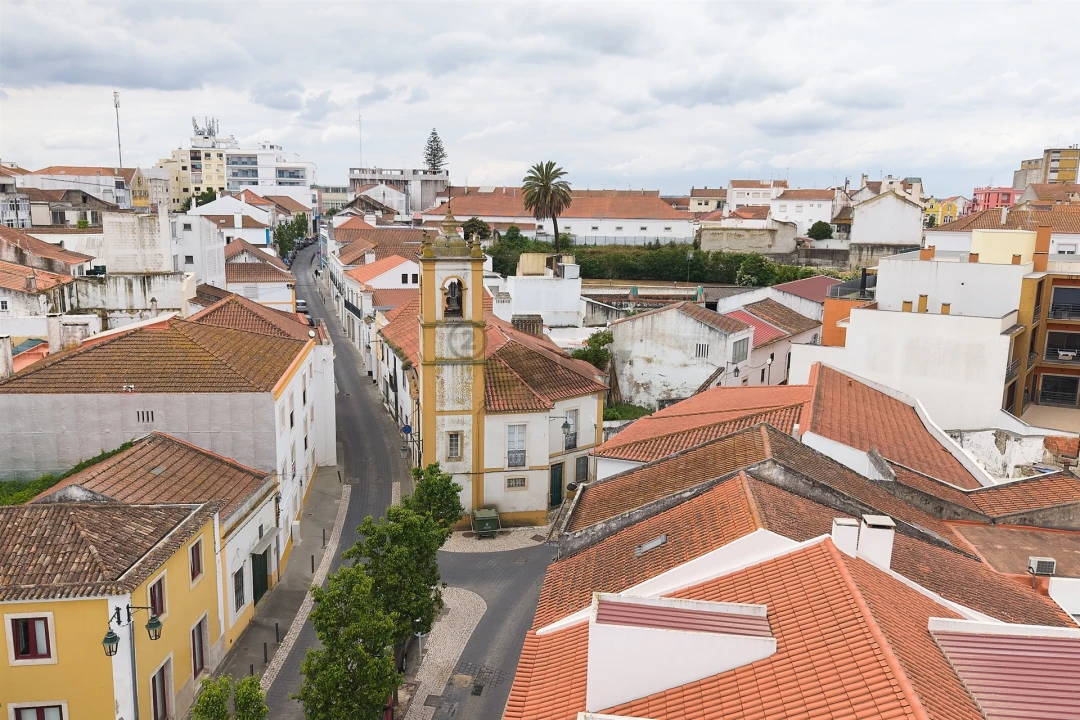 Armazém para Venda em Cartaxo e Vale da Pinta Foto 3