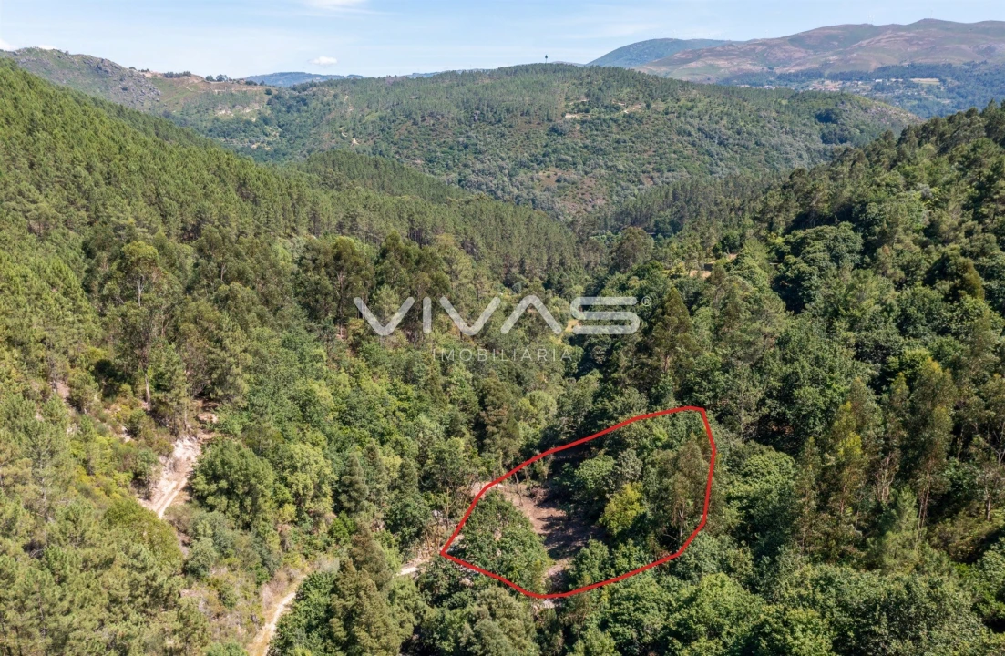 Moradia T0 para Venda em Vilar da Veiga Foto 32