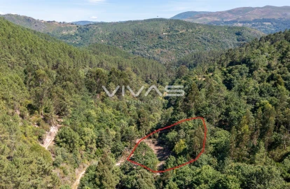 Moradia T0 para Venda em Vilar da Veiga
