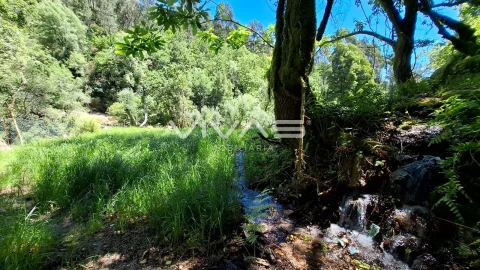 Moradia T0 para Venda em Vilar da Veiga