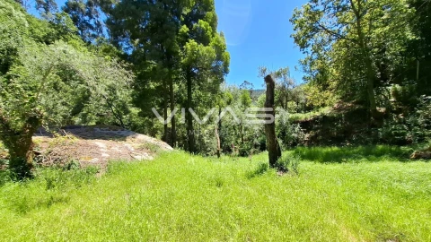 Moradia T0 para Venda em Vilar da Veiga