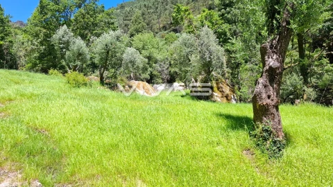 Moradia T0 para Venda em Vilar da Veiga