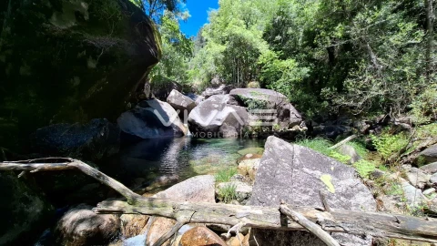 Moradia T0 para Venda em Vilar da Veiga