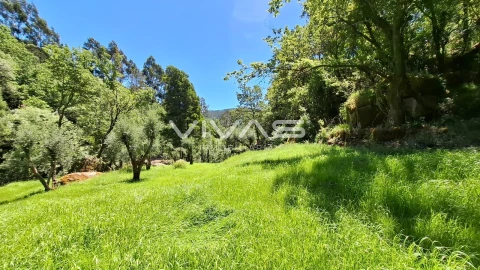 Moradia T0 para Venda em Vilar da Veiga
