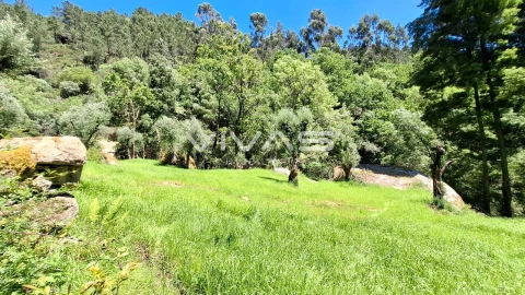 Moradia T0 para Venda em Vilar da Veiga