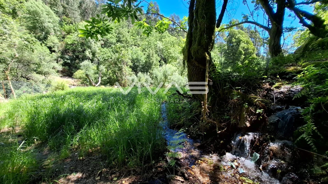 Moradia T0 para Venda em Vilar da Veiga Foto 3