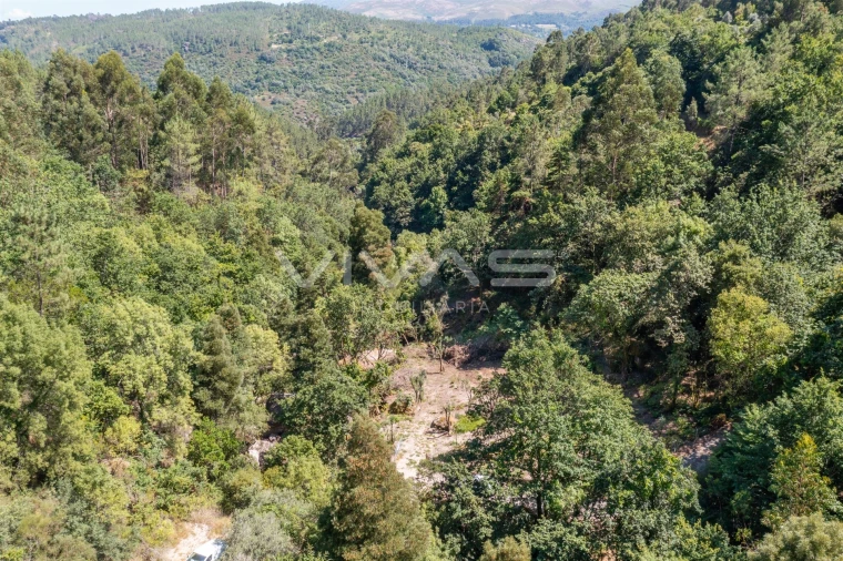 Moradia T0 para Venda em Vilar da Veiga Foto 17