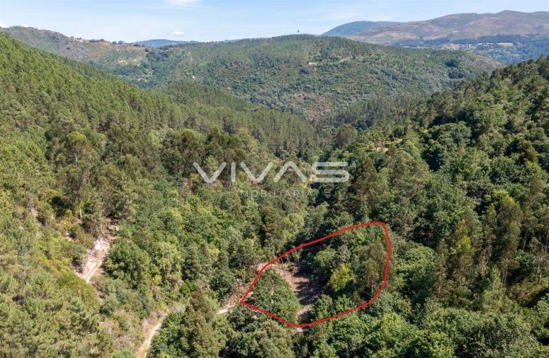 Moradia T0 para Venda em Vilar da Veiga Foto 32