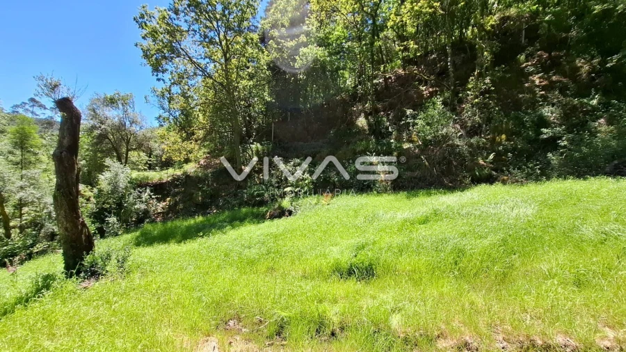 Moradia T0 para Venda em Vilar da Veiga Foto 4