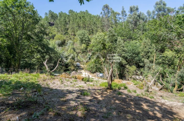 Moradia T0 para Venda em Vilar da Veiga Foto 5