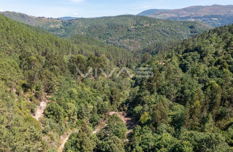 Moradia T0 para Venda em Vilar da Veiga Foto 14
