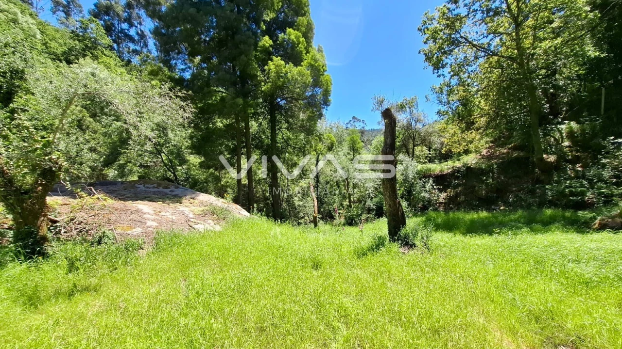 Moradia T0 para Venda em Vilar da Veiga Foto 8