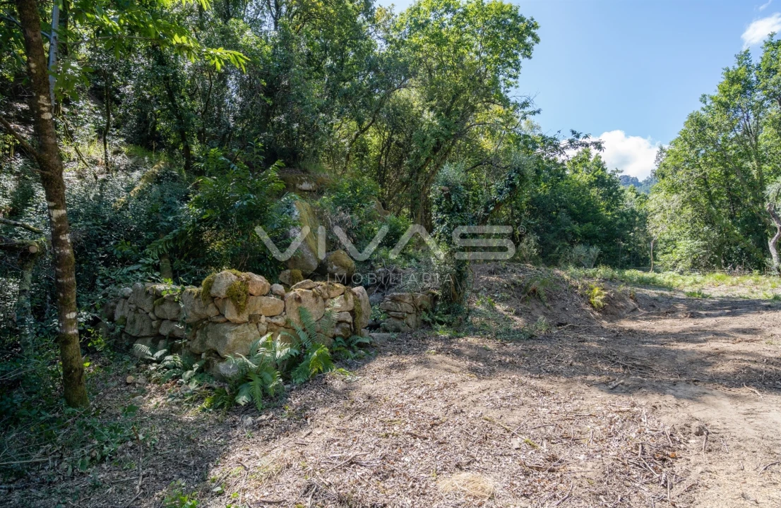 Moradia T0 para Venda em Vilar da Veiga Foto 7