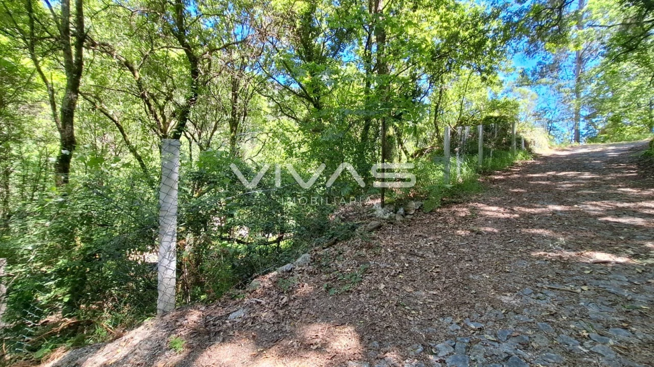 Moradia T0 para Venda em Vilar da Veiga Foto 21