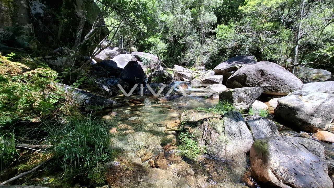 Moradia T0 para Venda em Vilar da Veiga Foto 10