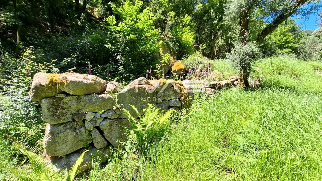 Moradia T0 para Venda em Vilar da Veiga Foto 23