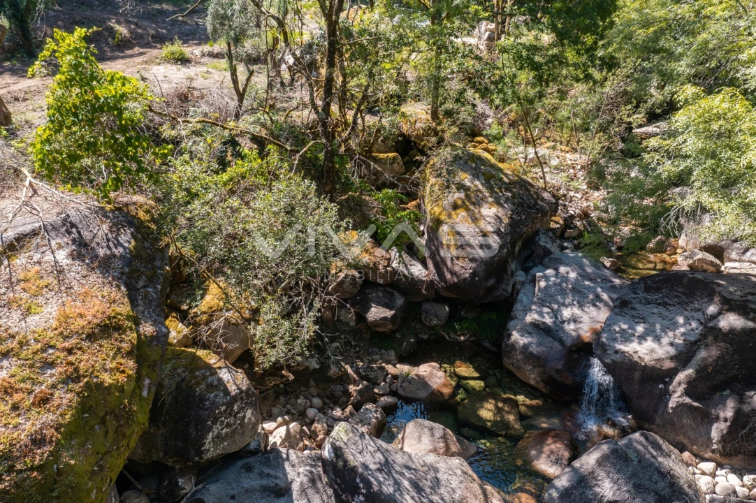 Moradia T0 para Venda em Vilar da Veiga Foto 11