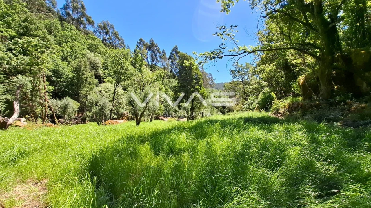 Moradia T0 para Venda em Vilar da Veiga Foto 25