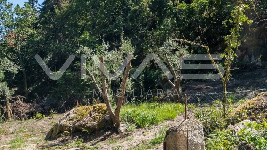 Moradia T0 para Venda em Vilar da Veiga