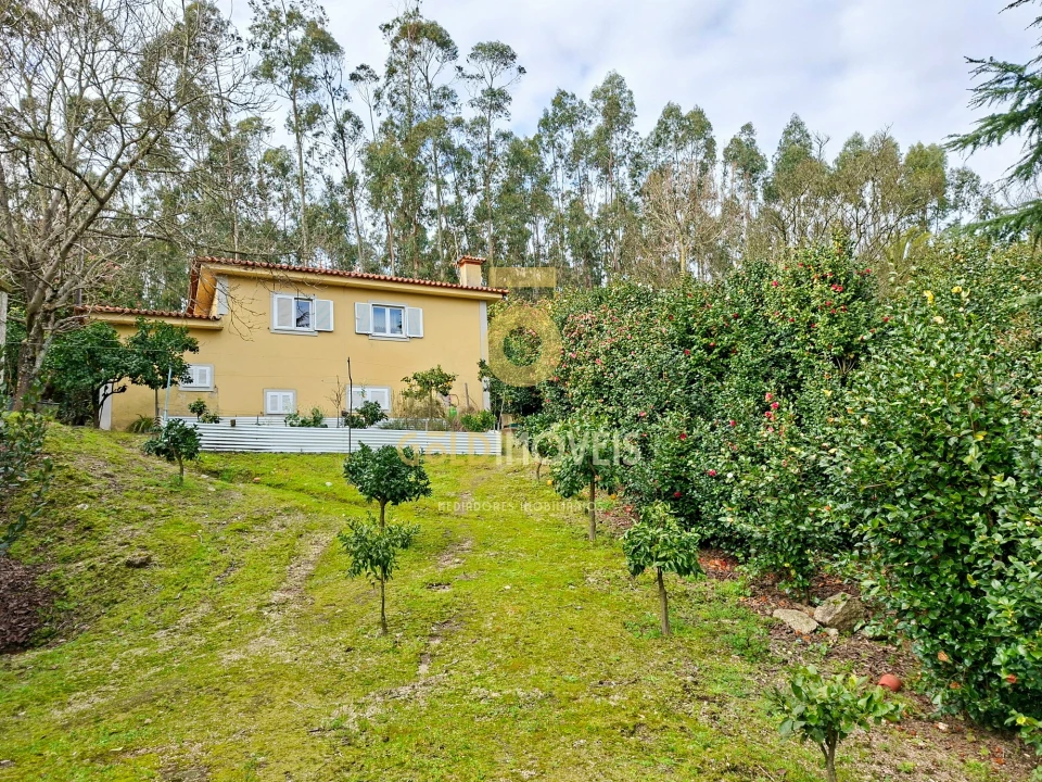 Quinta T4 para Venda em Lemenhe, Mouquim e Jesufrei Foto 34