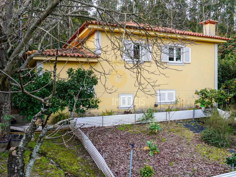 Quinta T4 para Venda em Lemenhe, Mouquim e Jesufrei Foto 23