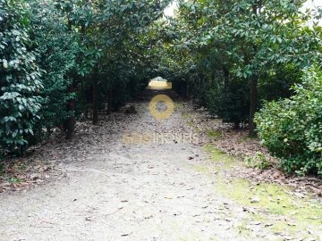 Quinta T4 para Venda em Lemenhe, Mouquim e Jesufrei