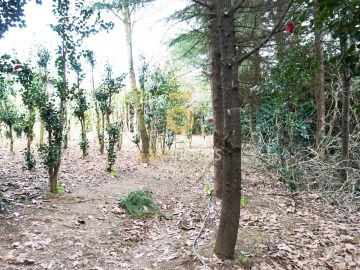 Quinta T4 para Venda em Lemenhe, Mouquim e Jesufrei