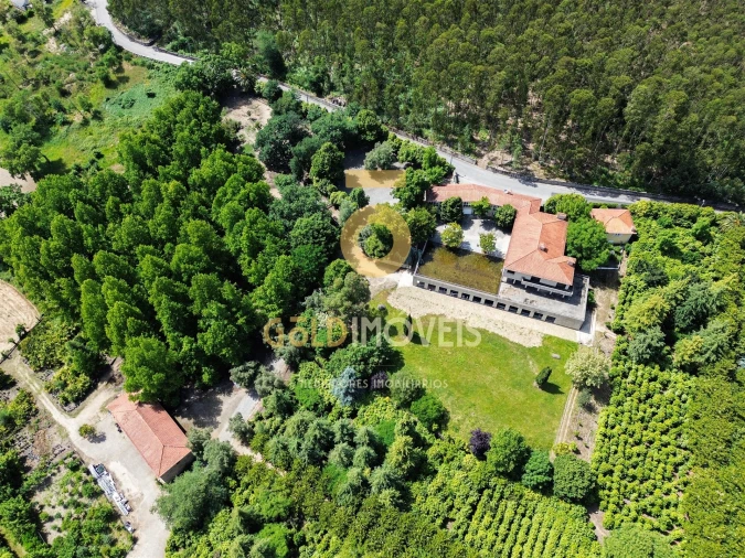 Quinta T4 para Venda em Lemenhe, Mouquim e Jesufrei Foto 4