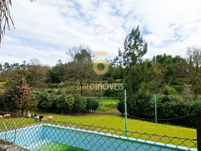 Quinta T4 para Venda em Lemenhe, Mouquim e Jesufrei Foto 24