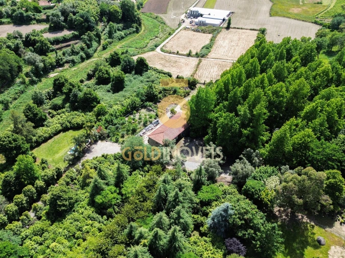 Quinta T4 para Venda em Lemenhe, Mouquim e Jesufrei Foto 5