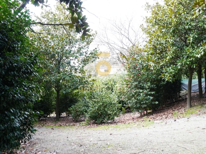 Quinta T4 para Venda em Lemenhe, Mouquim e Jesufrei Foto 12