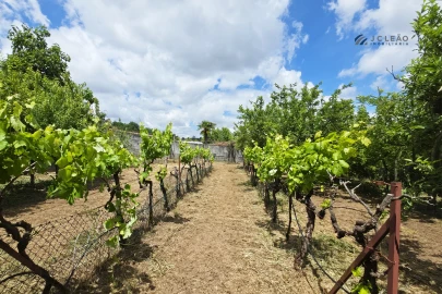 Quinta T4 para Venda em Paredes