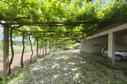 Quinta T4 para Venda em Paredes