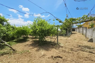 Quinta T4 para Venda em Paredes