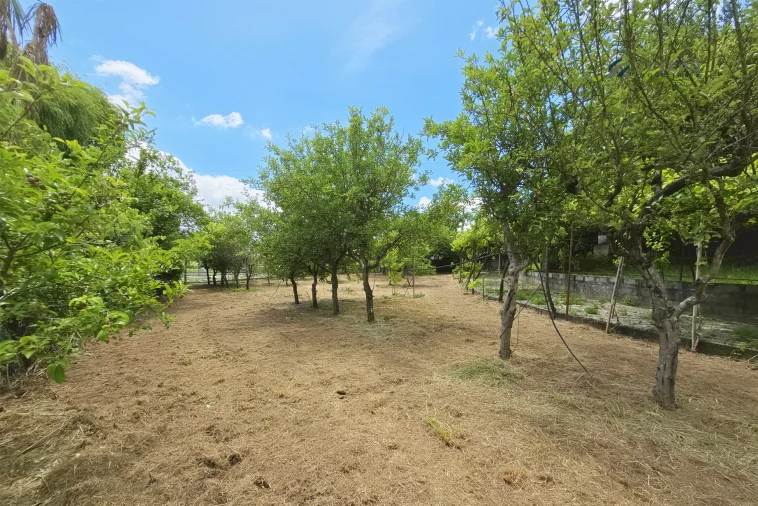 Quinta T4 para Venda em Paredes Foto 36