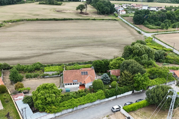 Quinta T4 para Venda em Paredes Foto 6