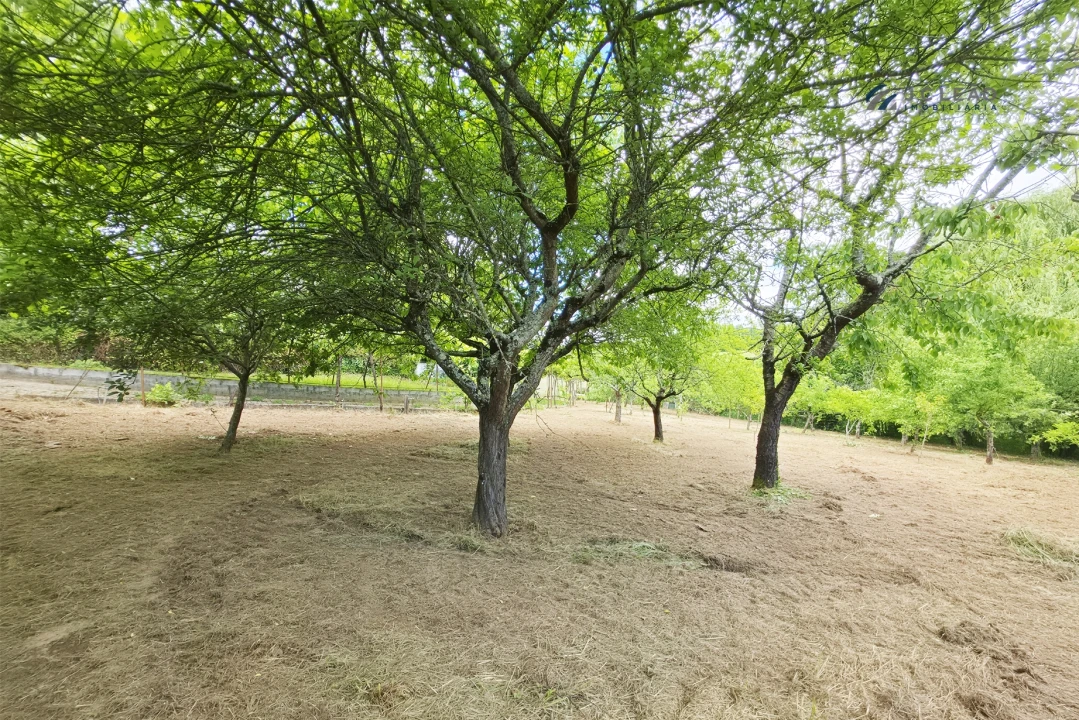 Quinta T4 para Venda em Paredes Foto 37