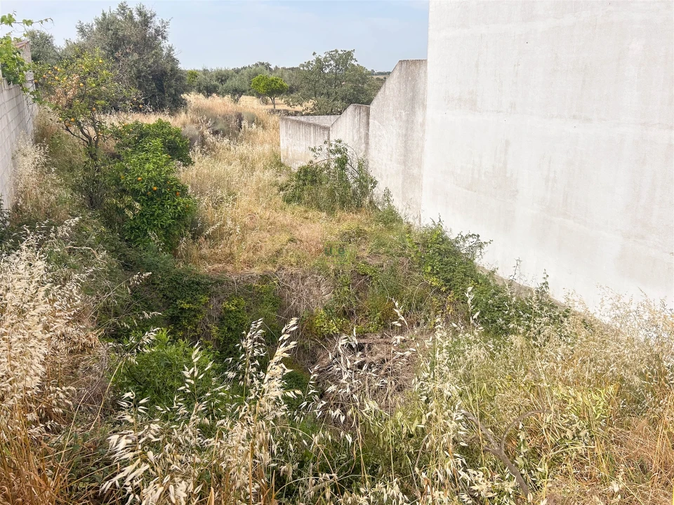 Terreno para Venda em Castelo Branco Foto 28