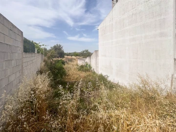 Terreno para Venda em Castelo Branco