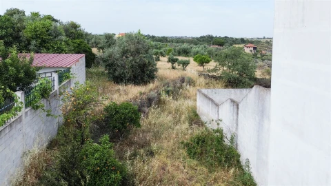 Terreno para Venda em Castelo Branco
